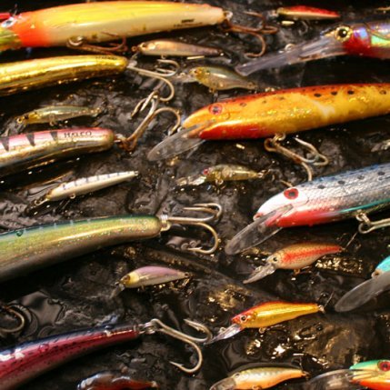 How to fish with Hard Body Lures