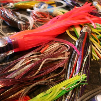 Fish with Skirted Lures