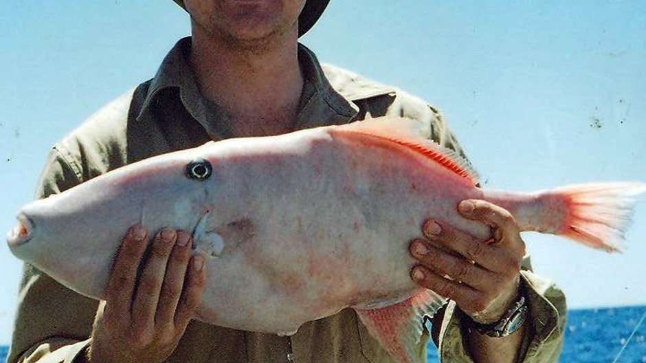 Leather Jacket displayed by Fish On