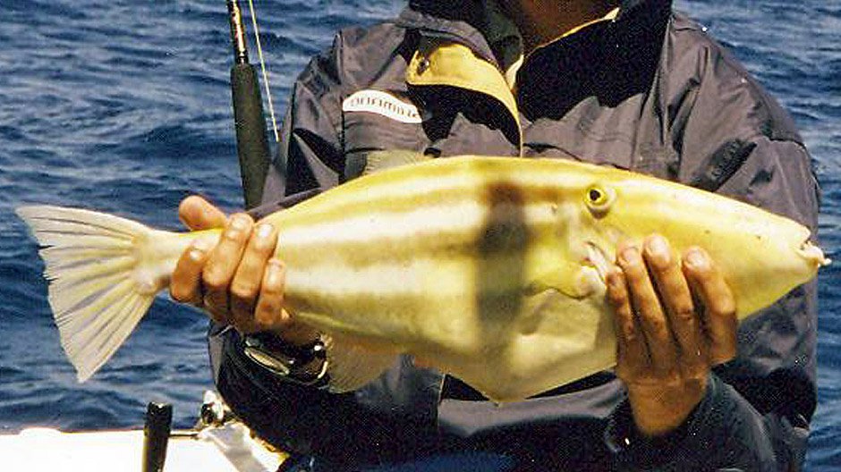 Leather Jacket displayed by Fish On